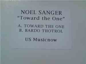 Noel Sanger - Toward The One