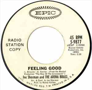 Joe Sherman And The Arena Brass - Feeling Good