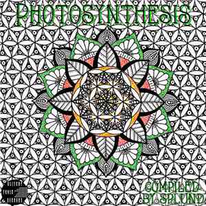 Splund - Photosynthesis