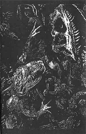 Teeth Collection - Black Ghost Knife