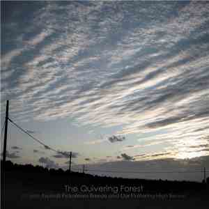 The Quivering Forest - Ocean Asphalt Petroleum Breeze And Our Fluttering Hi ...