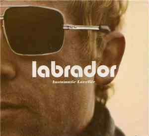 Labrador  - Instamatic Lovelife