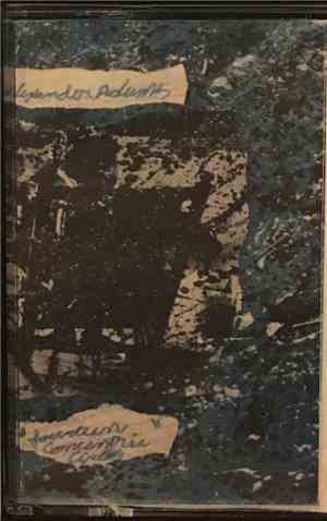 Alexander Adams - Fourteen Concentric Cirlces