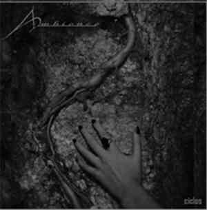 Ambience  - Ciclos
