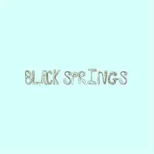 Black Springs - Time To Go