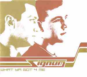 Signum - What Ya Got 4 Me