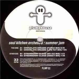 Soul Kitchen Orchestra - Summer Jam