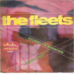 The Fleets  - Because I´m Seventeen