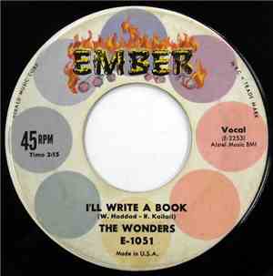 The Wonders  - I'll Write A Book