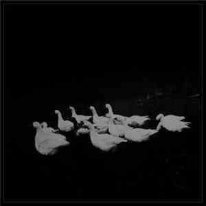 Kørper - Inanitas