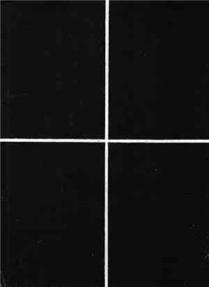 Prurient - White Plains Leather : Black River Falls