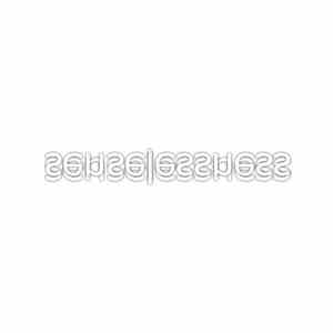 senselessness - Unnamed Album