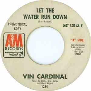 Vin Cardinal - Let The Water Run Down