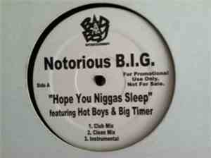 Notorious B.I.G. - Hope You Niggas Sleep / Big Booty Hoes