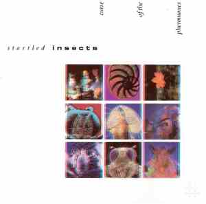 Startled Insects - Curse Of The Pheromones