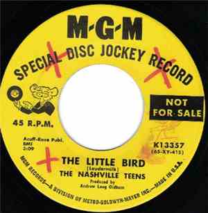 The Nashville Teens - The Little Bird
