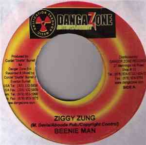 Beenie Man / Einstein  - Ziggy Zung / Wet Up Urself