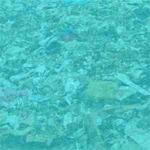 Solypsis - Cyan Album