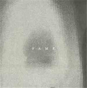 The Acid - Fame