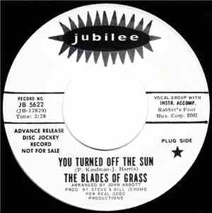 The Blades Of Grass - You Turned Off The Sun