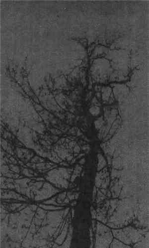 Drakonhail - Leerheit