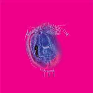Animal Collective / Black Dice - Wastered