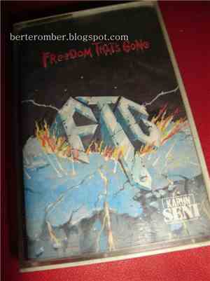 F.T.G.  - Freedom That's Gone