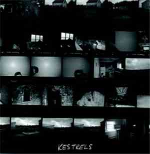 Kestrels - The Solipsist