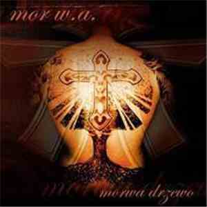 Mor W.A. - Morwa Drzewo
