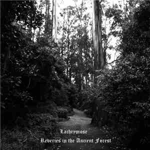 Lachrymose  - Reveries In The Ancient Forest