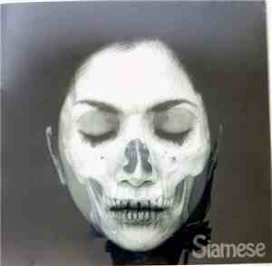 Siamese  - Foundation