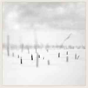 Taylor Deupree + Marcus Fischer  - In A Place Of Such Graceful Shapes (Edit ...