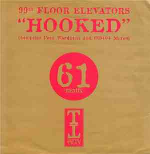 99th Floor Elevators - Hooked