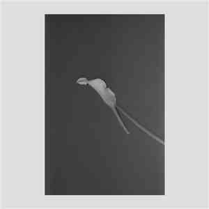 In A Lonely Place  - Pulse
