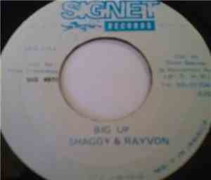Shaggy & Rayvon - Big Up