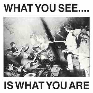 Alternative TV / Here And Now - What You See... Is What You Are