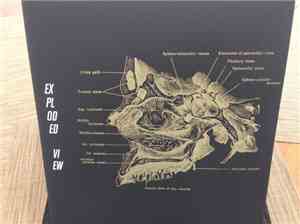 Exploded View - Exploded View