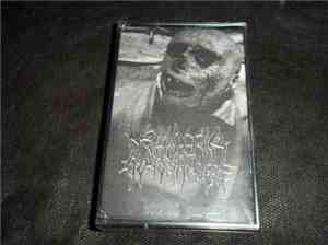 Neisseria Gonorrhoeae / Congenital Interior Defects - Split Tape