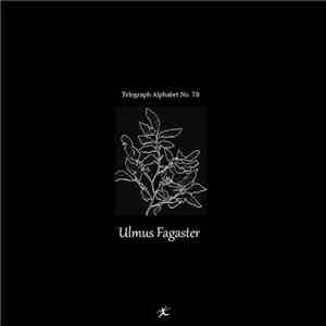 Ulmus Fagaster - Telegraph Alphabet No. 78