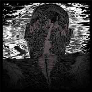 Asher Levitas - Lit Harness