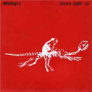 Electro Static Cat - Lethologica