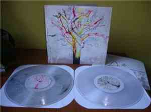 Rosetta  - A Determinism Of Morality