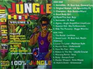 Various - Jungle Hits Volume 1