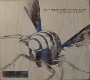 ALO  Animal Liberation Orchestra - Fly Between Falls