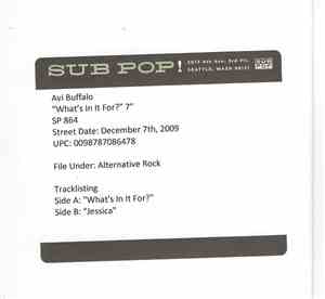 Avi Buffalo - What's In It For?