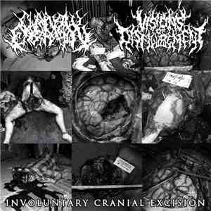 Chainsaw Castration / Visions Of Disfigurement - Involuntary Cranial Excisi ...