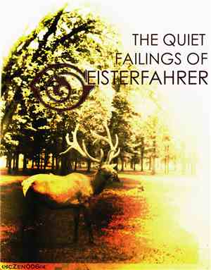 Geisterfahrer  - the quiet failings of