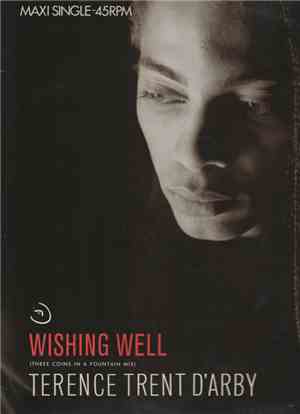 Terence Trent D'Arby - Wishing Well