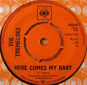 The Tremeloes - Here Comes My Baby