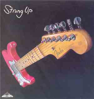 Dave Bradnam - Strung Up